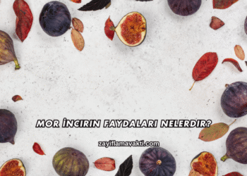 Mor İncirin Faydaları Nelerdir?