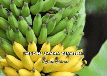 Muz Ne Zaman Yenmeli?
