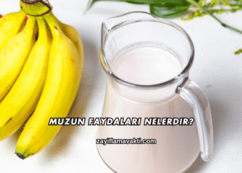 Muzun Faydaları Nelerdir?