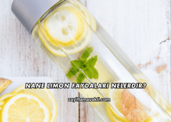 Nane Limon Faydaları Nelerdir?