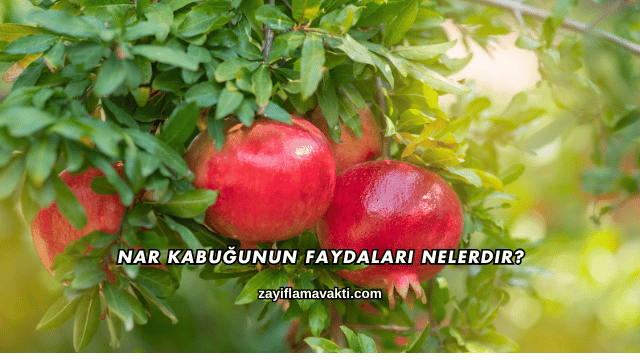 Nar Kabuğunun Faydaları Nelerdir?