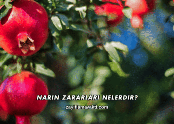 Narın Zararları Nelerdir?