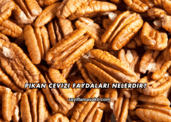 Pikan Cevizi Faydaları Nelerdir?