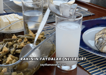 Rakının Faydaları Nelerdir?