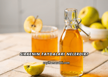 Sirkenin Faydaları Nelerdir?