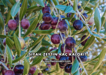 Siyah Zeytin Kaç Kalori?