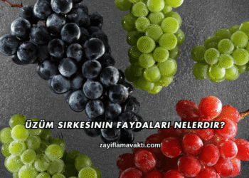 Üzüm Sirkesinin Faydaları Nelerdir?