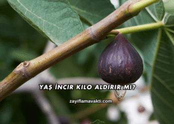 Yaş İncir Kilo Aldırır mı?