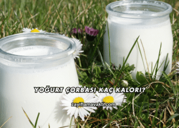 Yoğurt Çorbası Kaç Kalori?