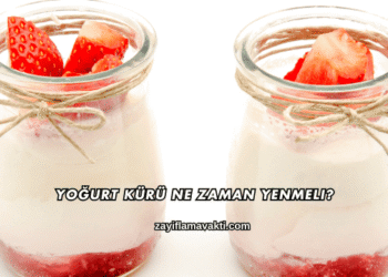 Yoğurt Kürü Ne Zaman Yenmeli?