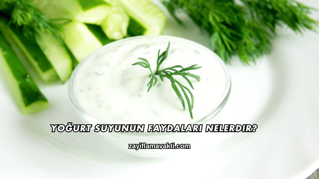 Yoğurt Suyunun Faydaları Nelerdir?
