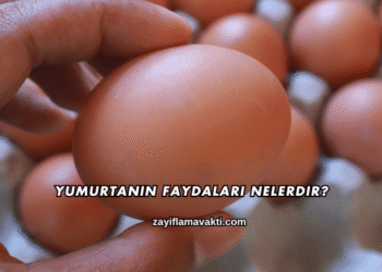 Yumurtanın Faydaları Nelerdir?