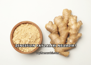 Zencefilin Faydaları Nelerdir?