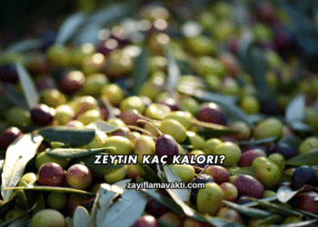 Zeytin Kaç Kalori?