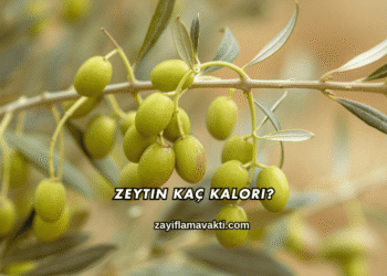 Zeytin Kaç Kalori?