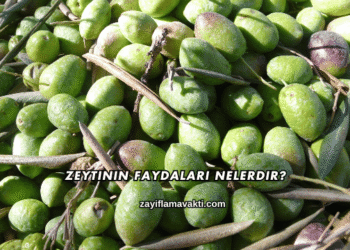 Zeytinin Faydaları Nelerdir?